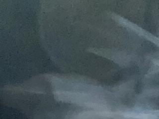 All Hail Your Majesty