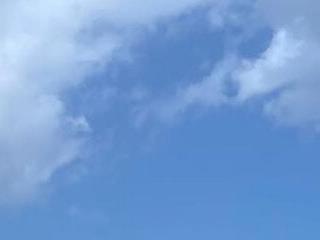 BigDawgStatusBalHarbour