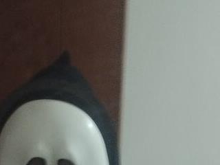 elbebesitobebelean666