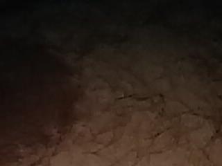 LittleDickBR