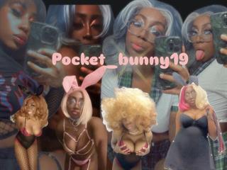 pocket bunnny19