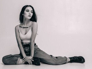 Elizabetswan