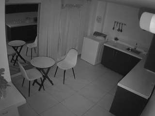 voyeurcam jb kitchen 1