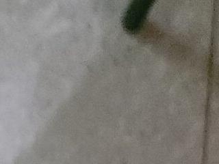 8inch desi