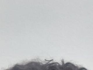 AfricanQueenxx40