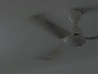 Alina 143