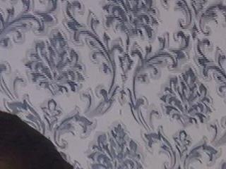 AmyRoss 1