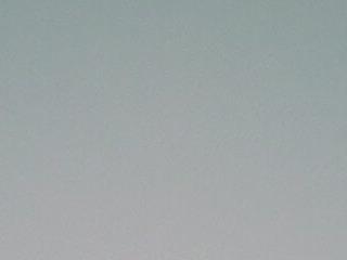 anabellana