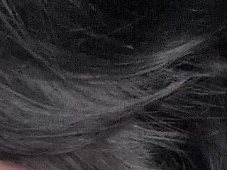 Anna17 