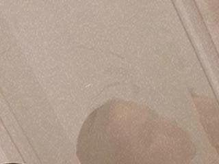 ashagillcm101