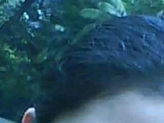 Asian SweetCum