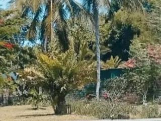 Baibe-leila