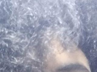 Bastian Greys