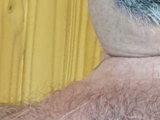 BearArg