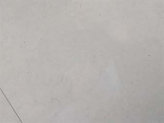 Black guycock