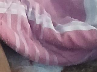 Desi boycock