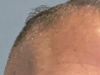 Diegoperrote682661