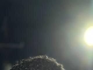 Dinasty Moon 