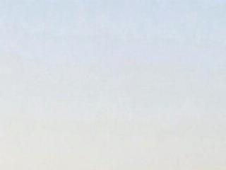 EvieeRosie