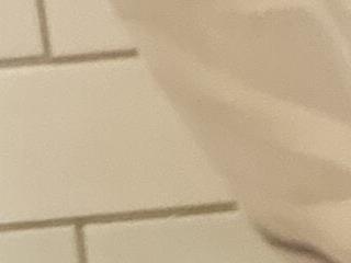 Frenchpoo