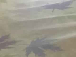 GigoloBlackDick