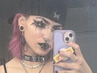 Harley cams