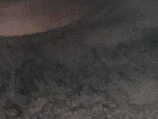 HothairyBoy2