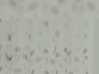 indiansumaya