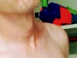 InsaneTraiNer