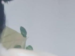 isabellahot c