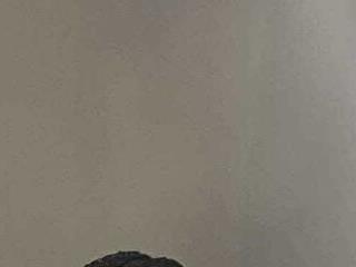 karol eboony1