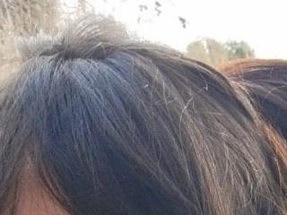 lana blue 