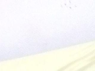 lele9457