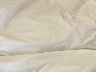 LilllyWhite