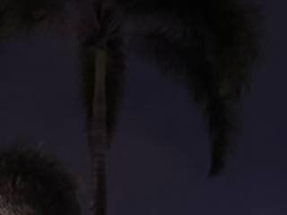 Lilsheilaa