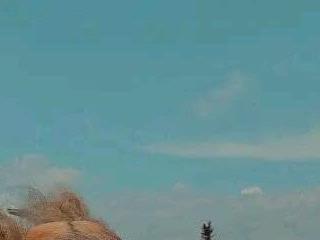 Littlebunny33