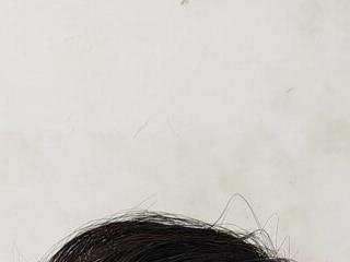 long3366