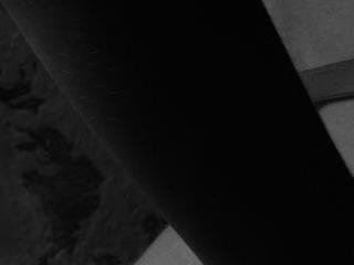LynetHickory