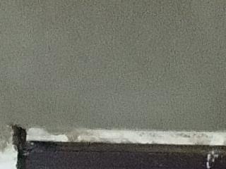 Maniakone