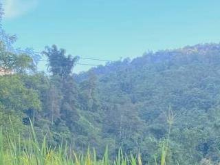 mayhan-