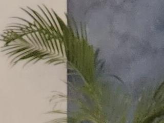 NadiraNoor