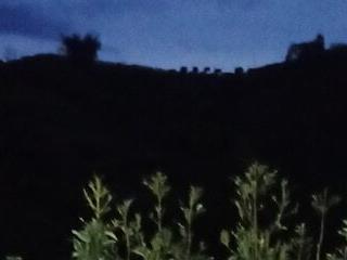 Ninfa 56