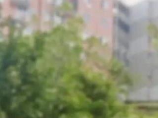Noahjhan55