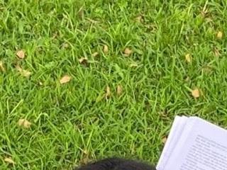 Notaestheticallykylinee