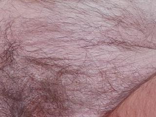 oldhairydick