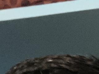 omkarcoll
