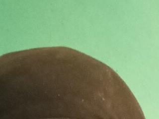 Paradivertirnonacimos