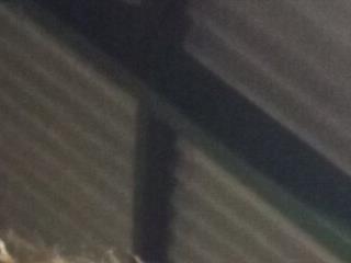 pedrodavid 