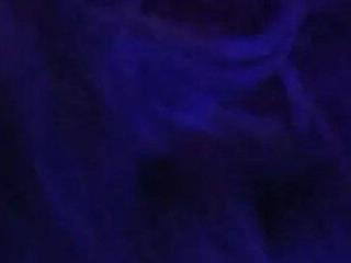 plnacolada