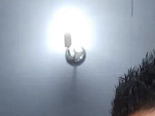 Prometeo-grizzly